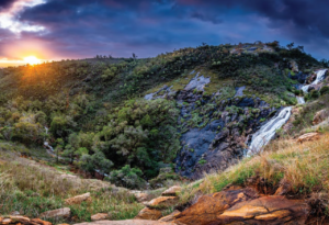 Running the Kalamunda and Bickley Valley Trails East of Perth